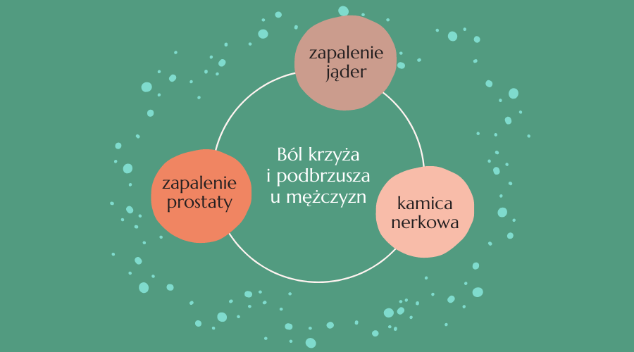 ból krzyża i podbrzusza u mężczyzn - przyczyny