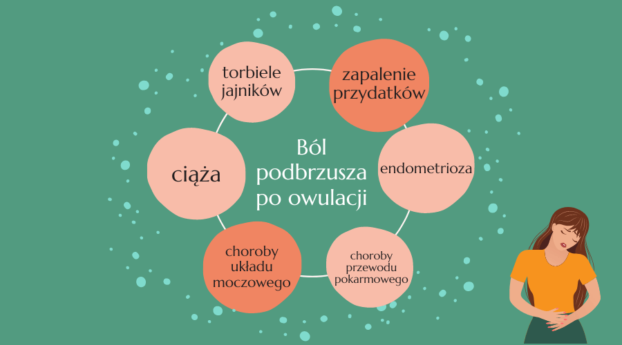 ból podbrzusza po owulacji - przyczyny - infografika