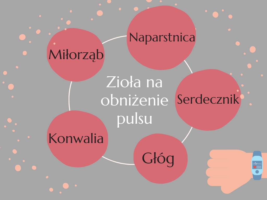 zioła na obniżenie pulsu to: naparstnica, serdecznik, miłorząb, konwalia i głóg